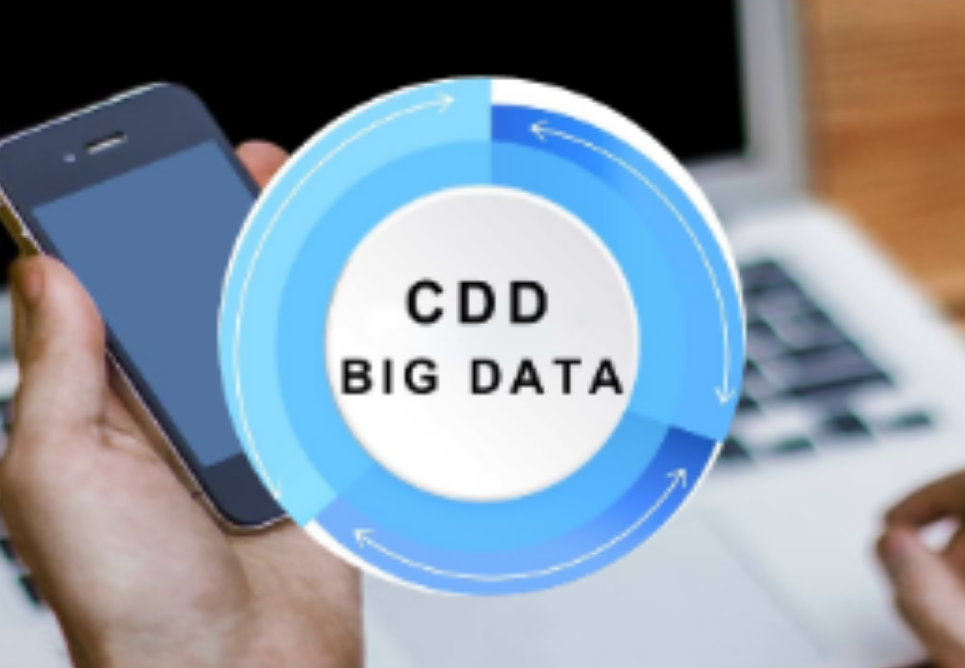 CDD Big Data